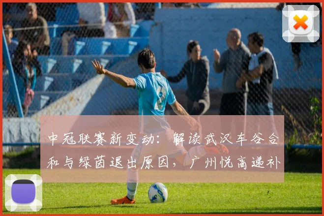 中冠联赛新变动：解读武汉车谷合和与绿茵退出原因，广州悦高递补后前景分析